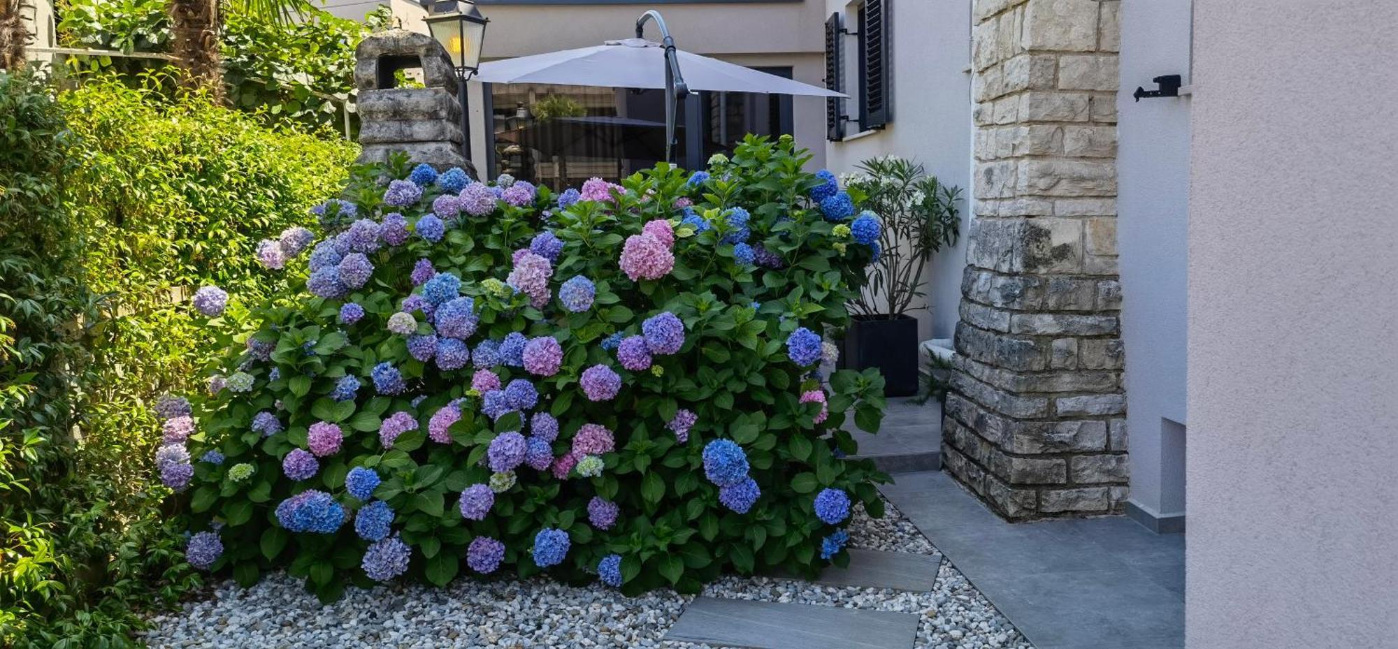 Stay In The Very Heart Of Porec - 50M To The Beach Esterno foto